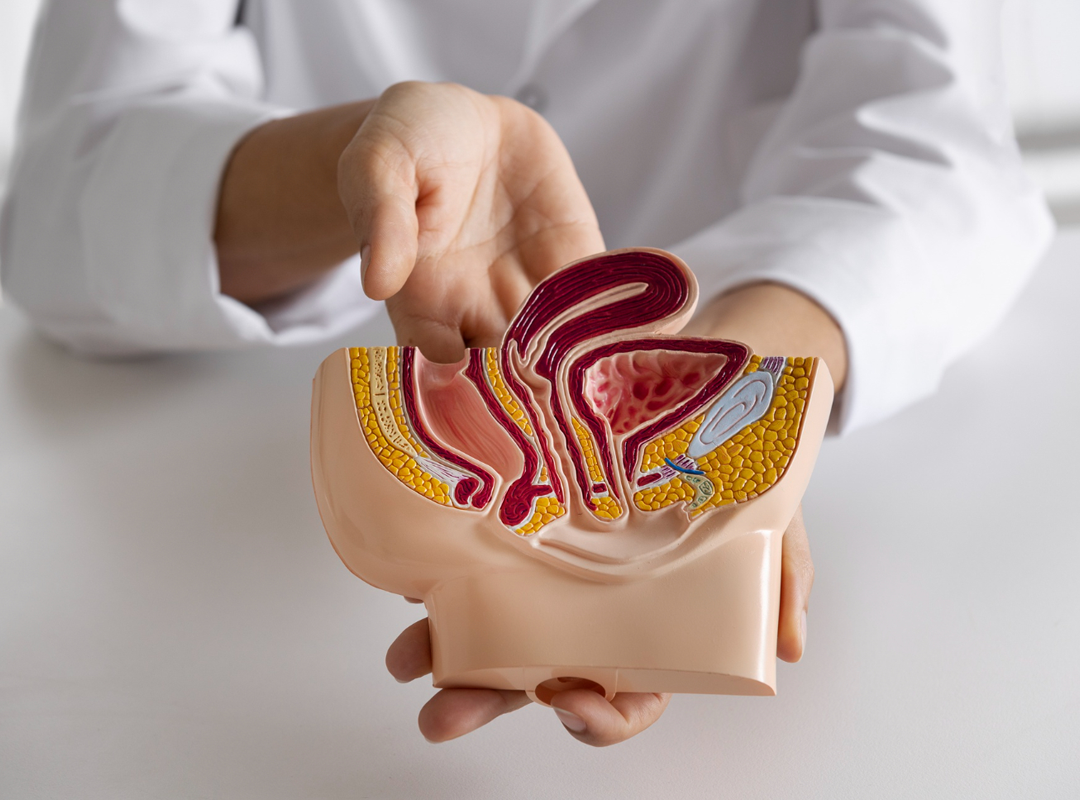 Biopsia de próstata